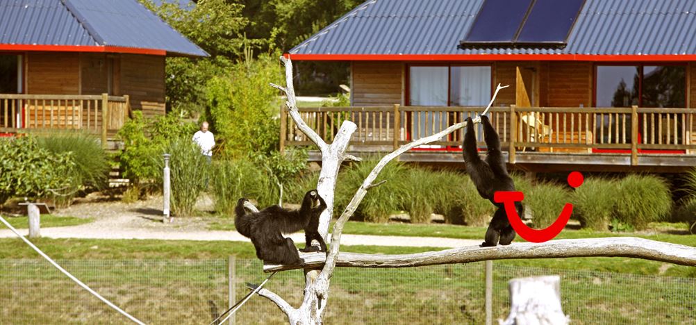 Cerza Parc Des Safaris D143 Hermival Les Vaux