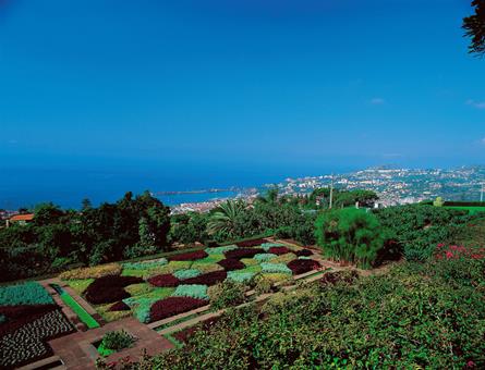 8-daagse rondreis Charming Madeira 8-daagse rondreis Charming Madeira
