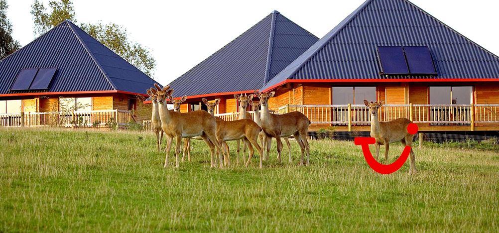 Cerza Parc Des Safaris D143 Hermival Les Vaux