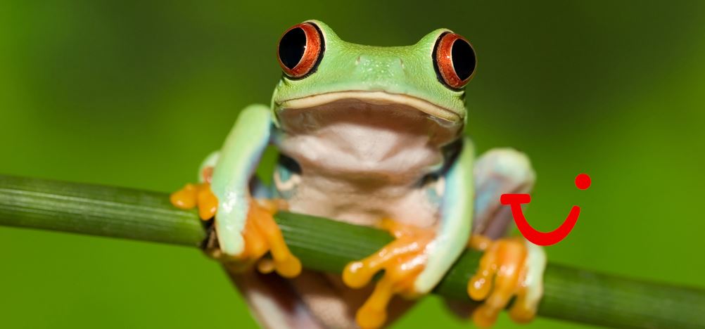 17-daagse fly-drive Highlights van Costa Rica