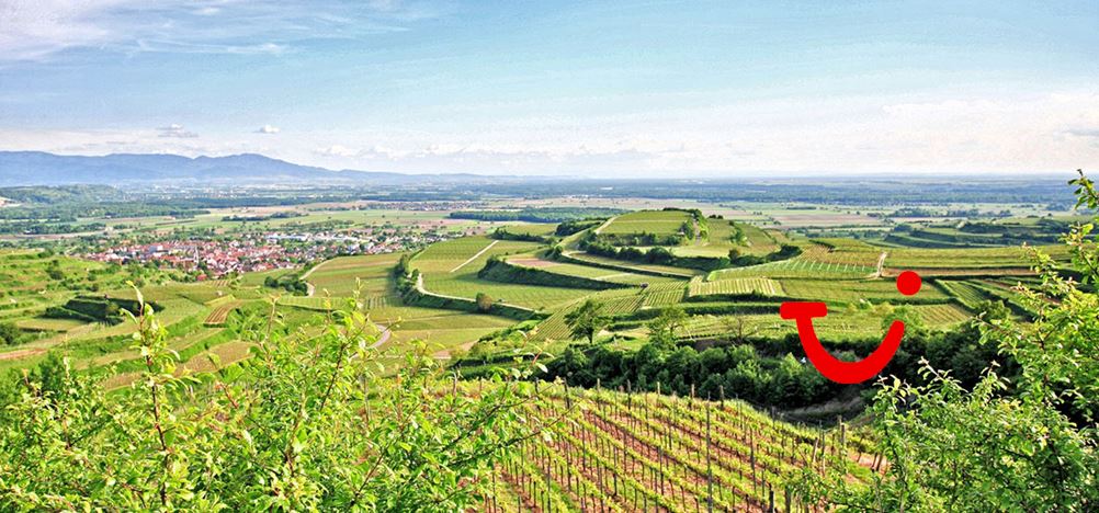 Winzerstube Ihringen