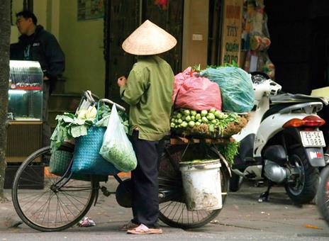 16-daagse familiereis Vriendelijk Vietnam afbeelding