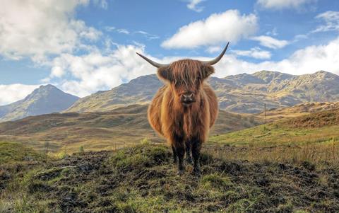 8 daagse rondreis Legendarisch Schotland