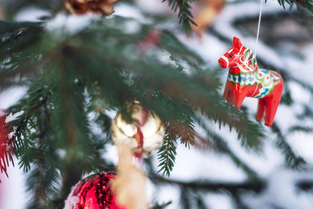 8-daagse-fly-drive-zweeds-winter-wonderland