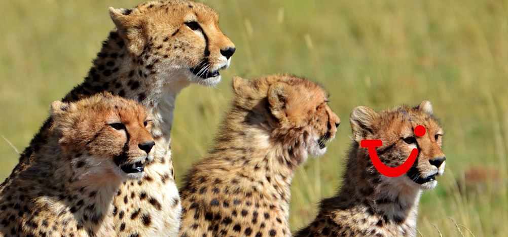 13-daagse safari Tsavo & Taita