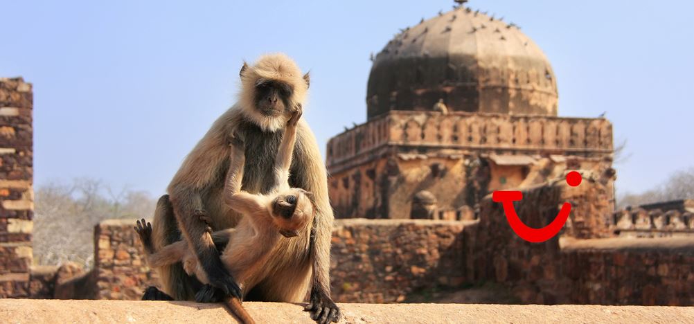 10-daagse fly-drive Namasté in Noord-India