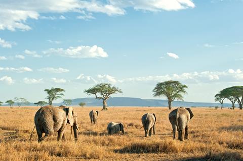 12-daagse Rondreis Wildparken van Tanzania
