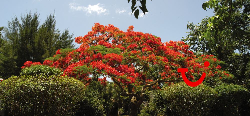 12-dg fly-drive Sandcastles & Family Fun Florida