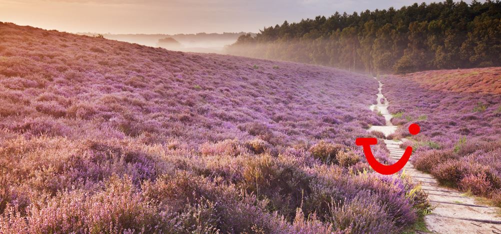 Singlereis Wandelweekend op de Veluwe
