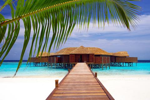 TIP vakantie Malediven 🏝️ Lily Beach Resort & Spa
