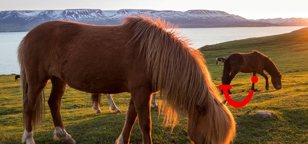 8-dg cruise Noord-Europa - Rotterdam