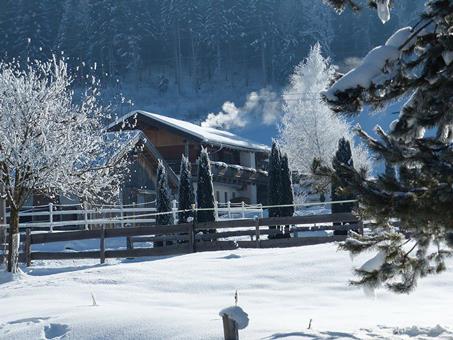 Aanbieding wintersport Salzburgerland ⛷️ Landgut Edelweiss