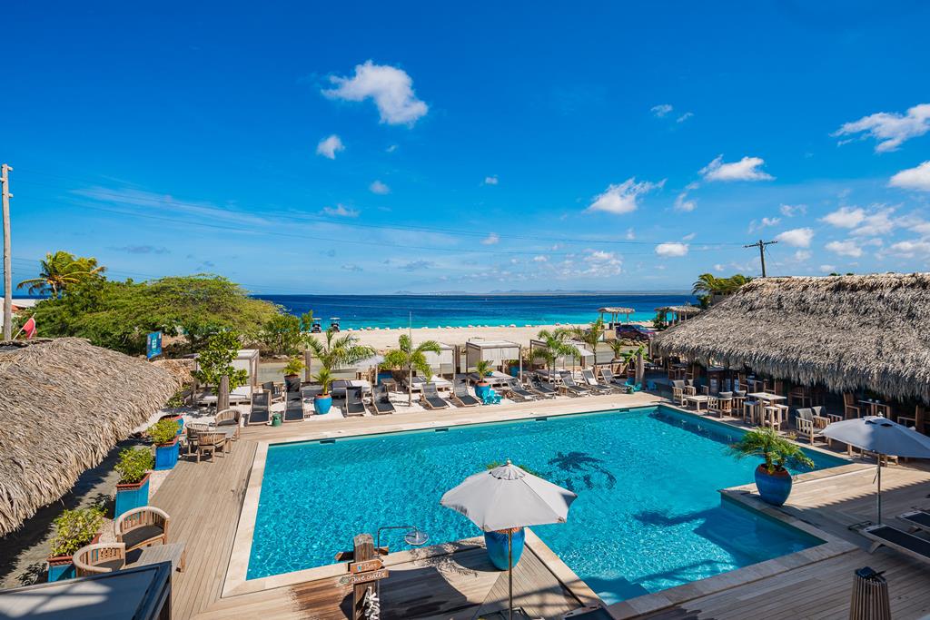 Online bestellen: Bloozz Resort Bonaire