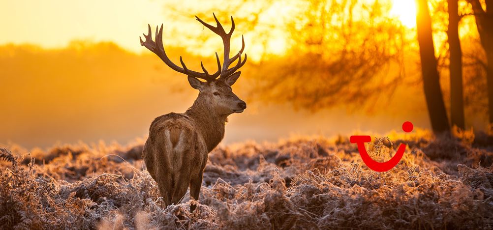 Singlereis Wandelweekend op de Veluwe