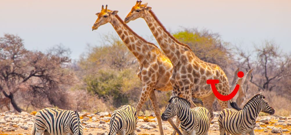 14-daagse reis Ontdek Namibië (excl vlucht)