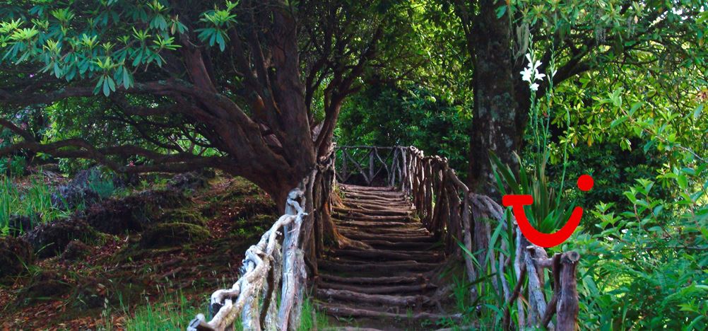 8-daagse fly-drive Romantisch Madeira