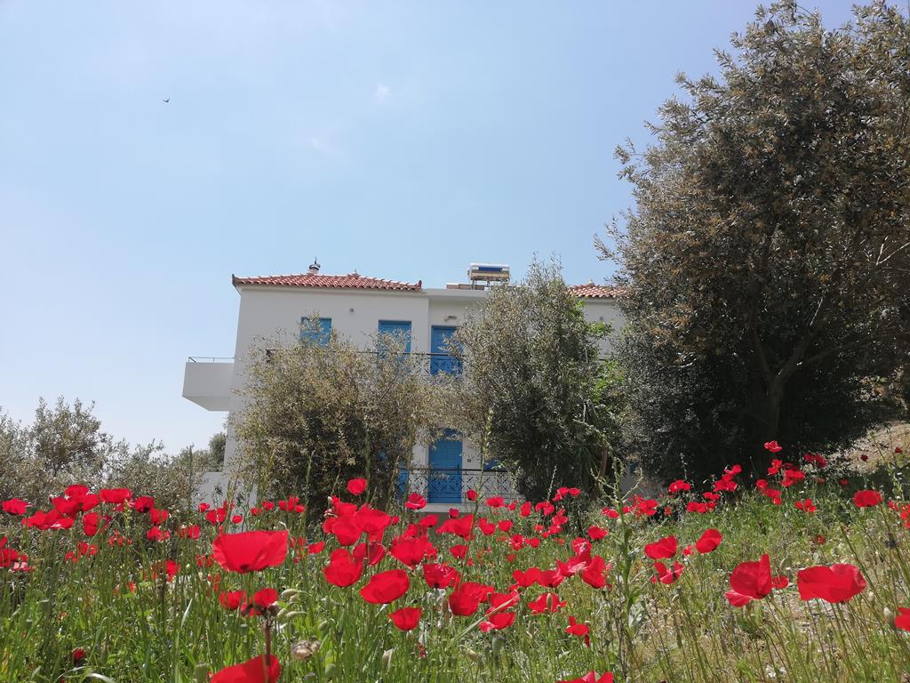 apartments-jota