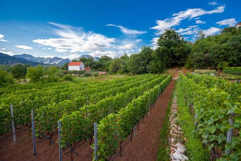 Online bestellen: 8-daagse Actief Montenegro Hotel Park