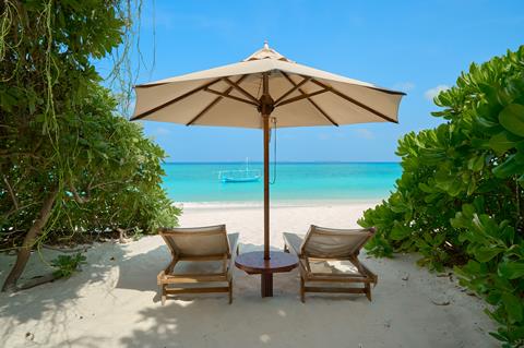 Top deal zonvakantie Malediven 🏝️ The Barefoot Eco Hotel 9 Dagen  €1459,-