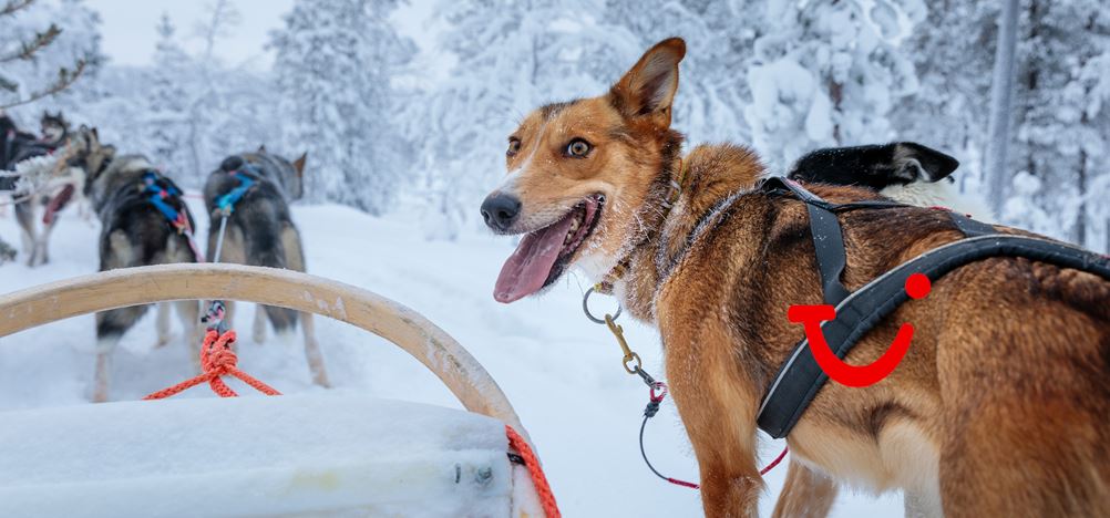 4-daagse excursiereis Lapland Hotel Ylläskaltio