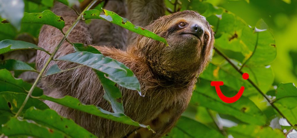 21-daagse rondreis Puur Costa Rica met Corcovado