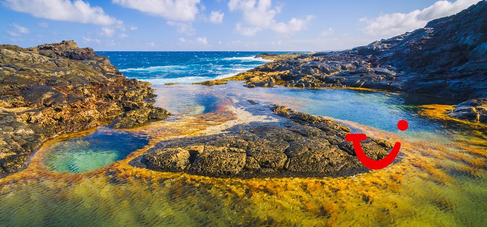 15-dg cruise Canarische Eilanden - Nieuw Statendam