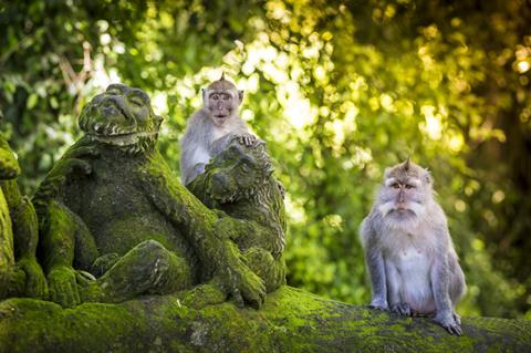 17 daagse Combinatiereis Ubud, Lovina Sanur