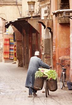 Reizen Marokko
