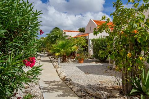 SALE vakantie Bonaire 🏝️ 9 Dagen logies Hamlet Oasis