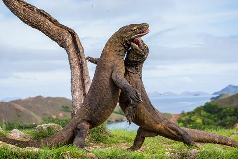 17 daagse rondreis Bali Komodo