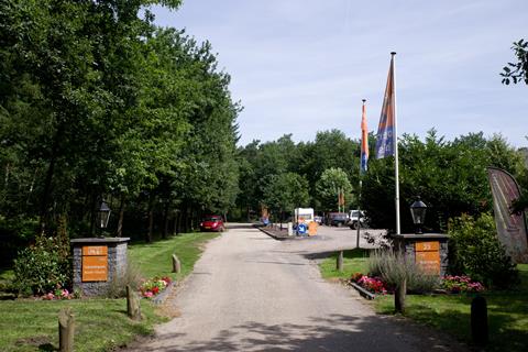 Bonte vlucht