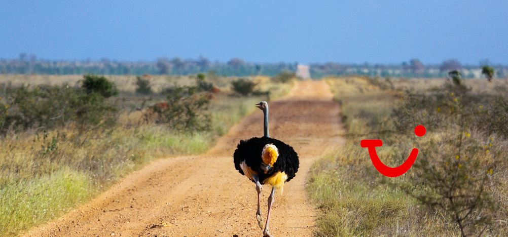 13-daagse safari Tsavo & Taita