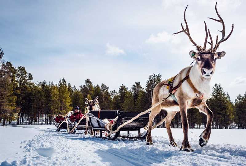 8-daagse excursiereis Best of Lapland (Rondreis) - Finland | TUI