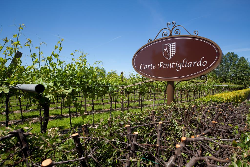 Relais Corte Pontigliardo - Lazise (incl. Pacengo di Lazise), Italië