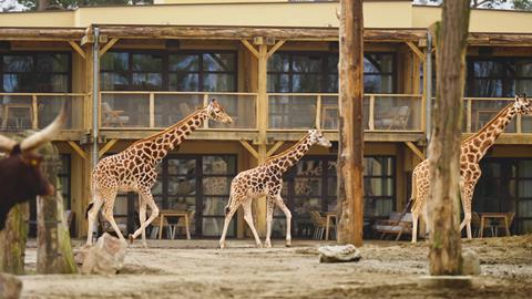 Online bestellen: Safari Hotel Beekse Bergen