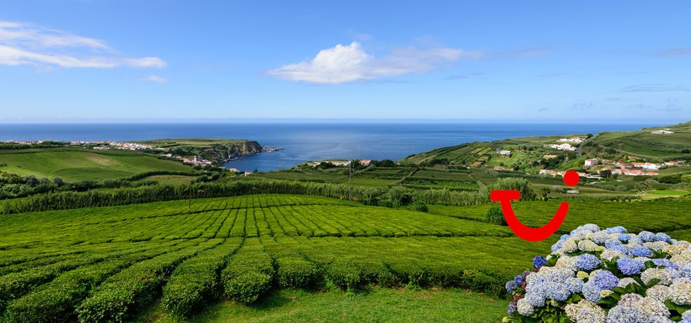 8-daagse rondreis Het Groene São Miguel