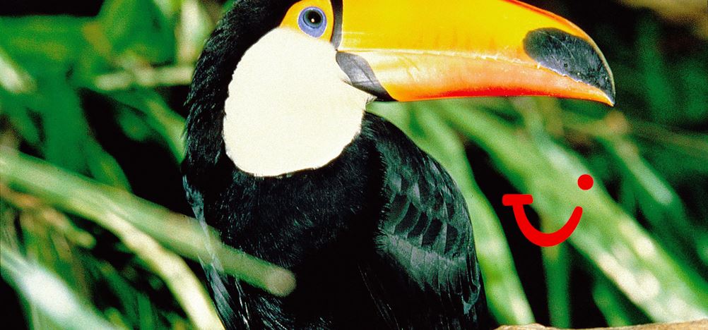 10-daagse rondreis Maleisië & Singapore