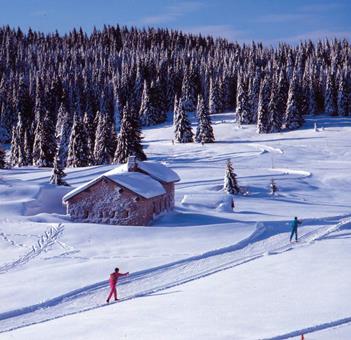 TIP wintersport Dolomieten ⛷️ Blu Hotel Natura & Spa