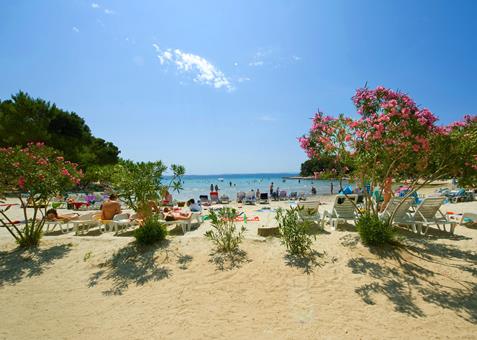 Ideale autovakantie Noord Dalmatië ⏩ Pine Beach Ecoresort 4 Dagen  €302,-