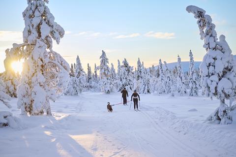 8-dg-excursiereis-winter-in-lofsdalen-fjallhotel