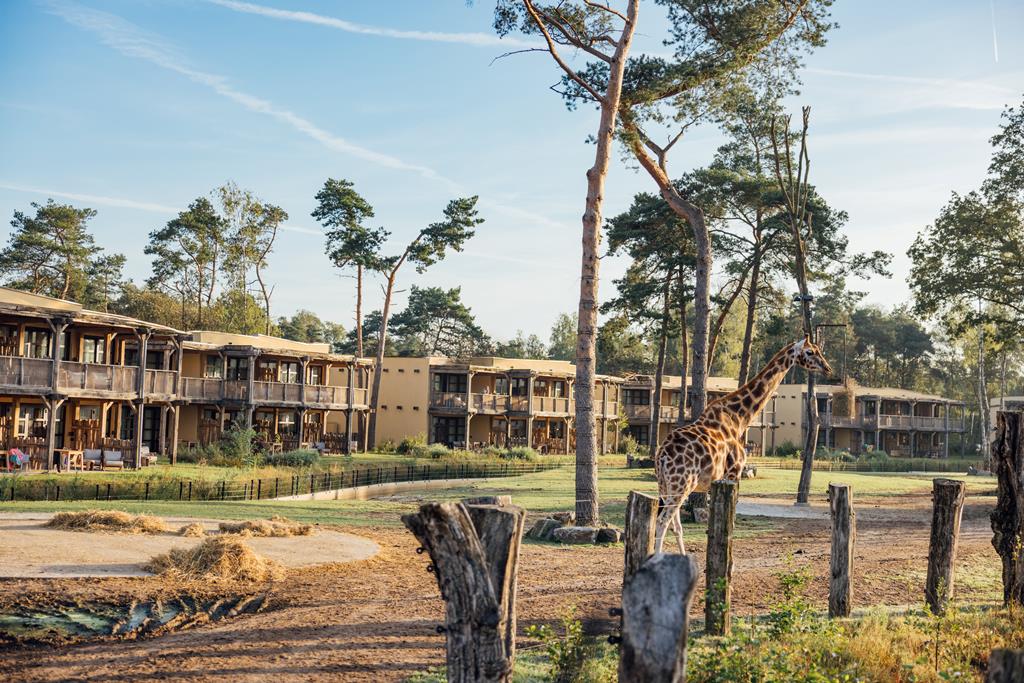 Safari Hotel Beekse Bergen - Hilvarenbeek, Nederland