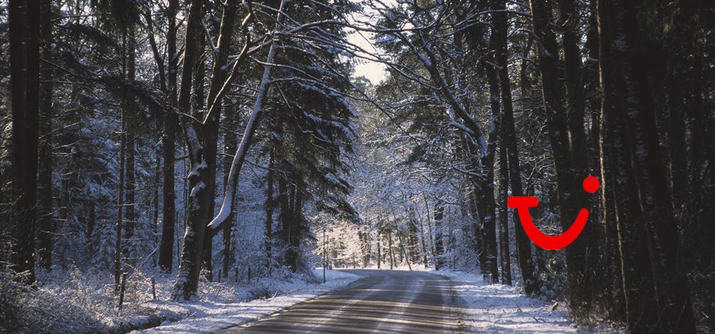 Singlereis Kerst Wandelen Kop van Overijssel