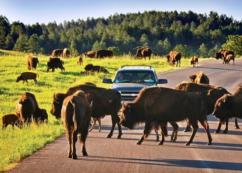 19 daagse rondreis See it all Rocky Mountains