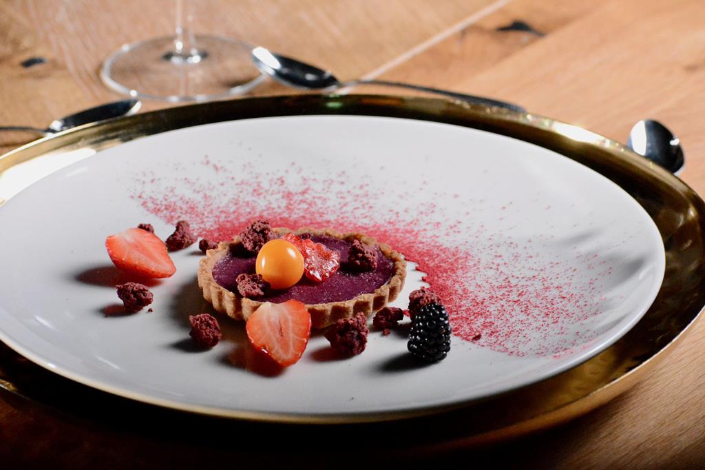 Wintersport 4* Oostenrijk € 10011,- ▷ met de hond op vakantie