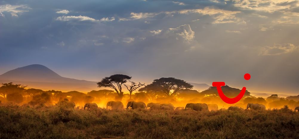 16-daagse safari Best of Kenya