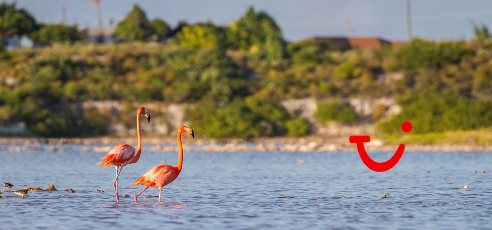 7-dg cruise Caribische Zee - MSC Meraviglia