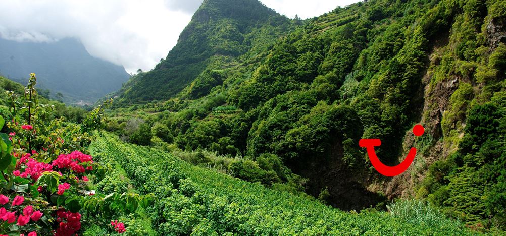 8-daagse fly-drive Romantisch Madeira