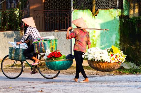 17-daagse rondreis Highlights van Vietnam afbeelding