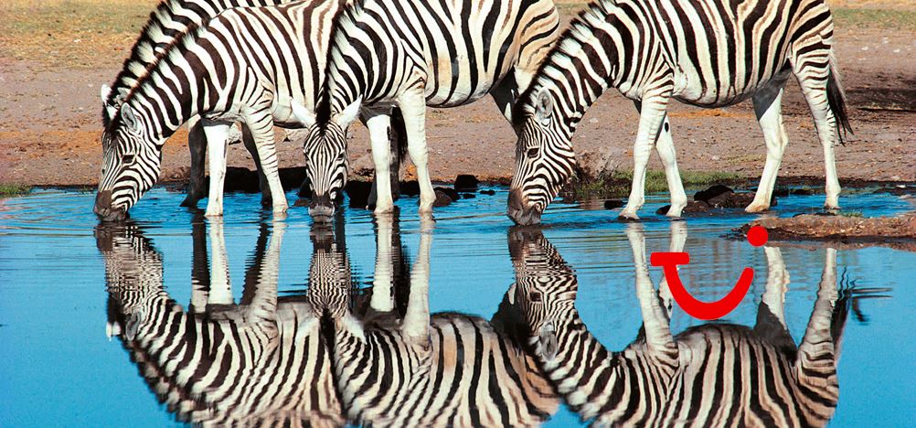 13-daagse safari The Mombasa Rendez-Vous