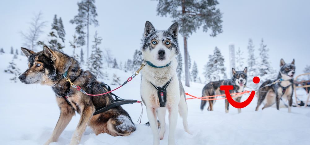8-daagse excursiereis Kieppi Wilderness Week